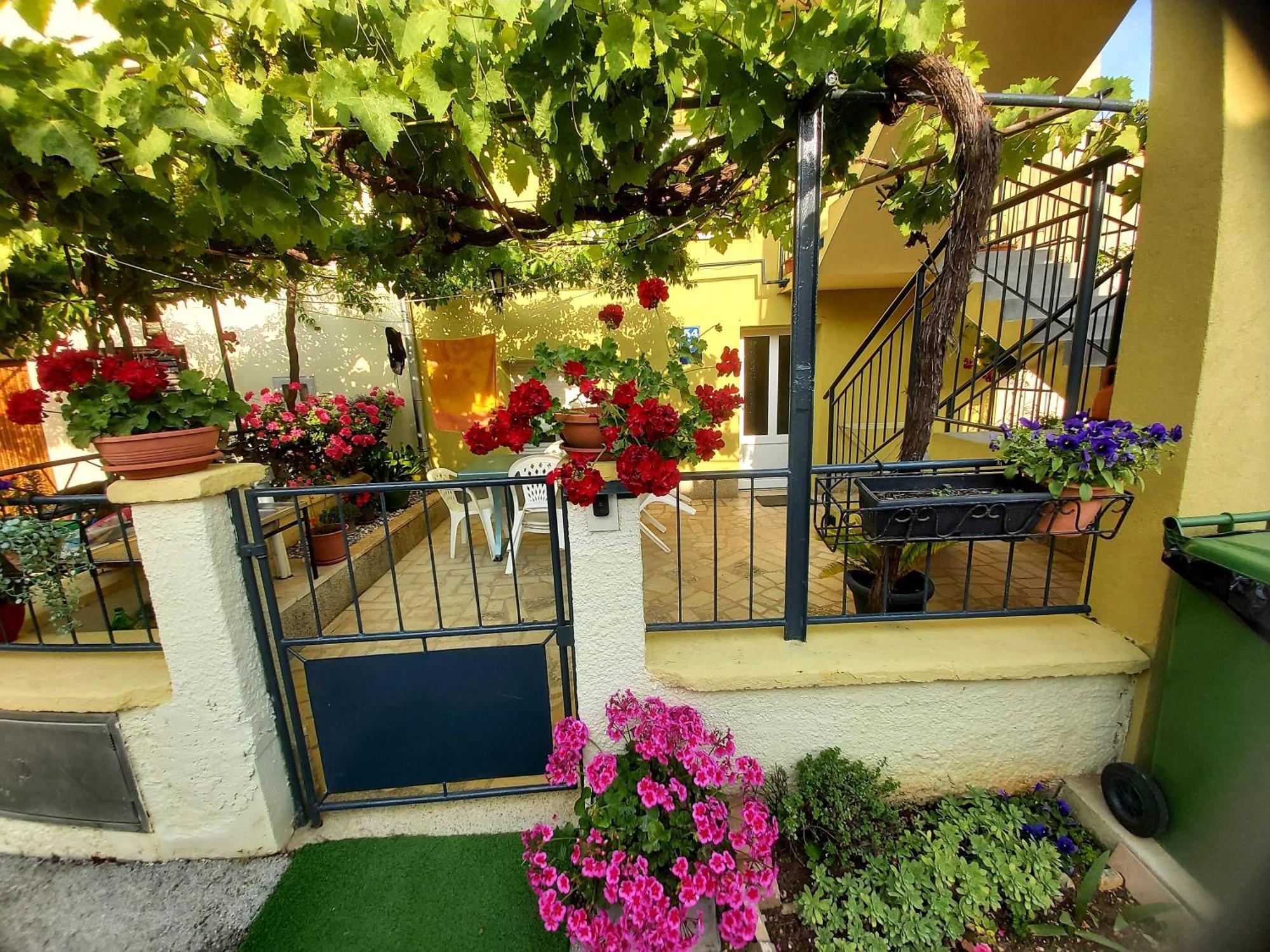 Apartment Kuca Za Odmor Marija *